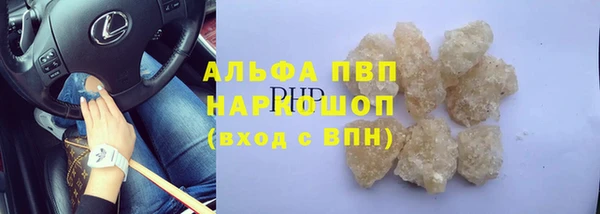 СК Семилуки