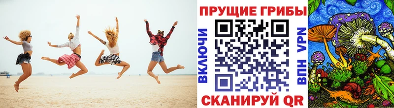 Псилоцибиновые грибы Cubensis  Самара 